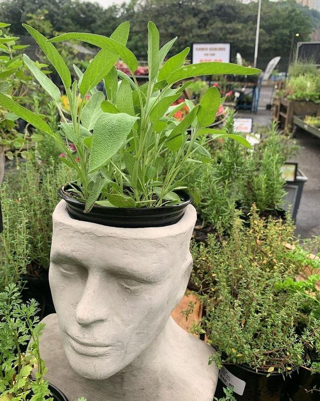 Artistic Forms Meet Living Green