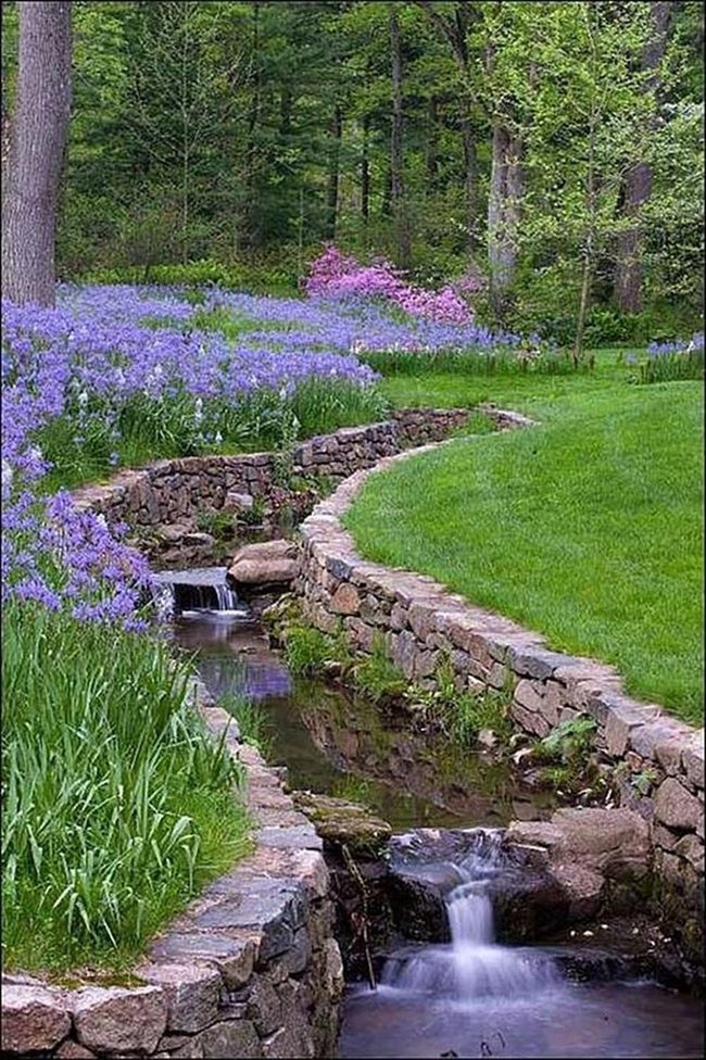 Purple Blooms And Cascading Water