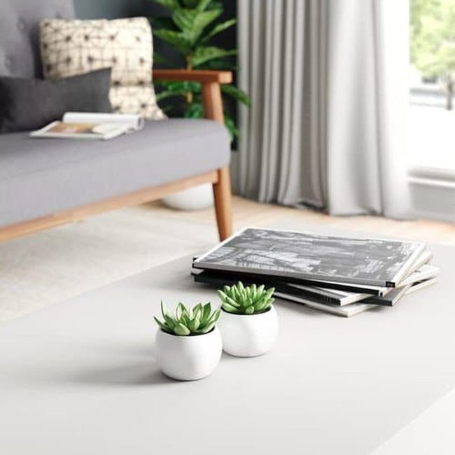 Tiny Green Plants In White Cups