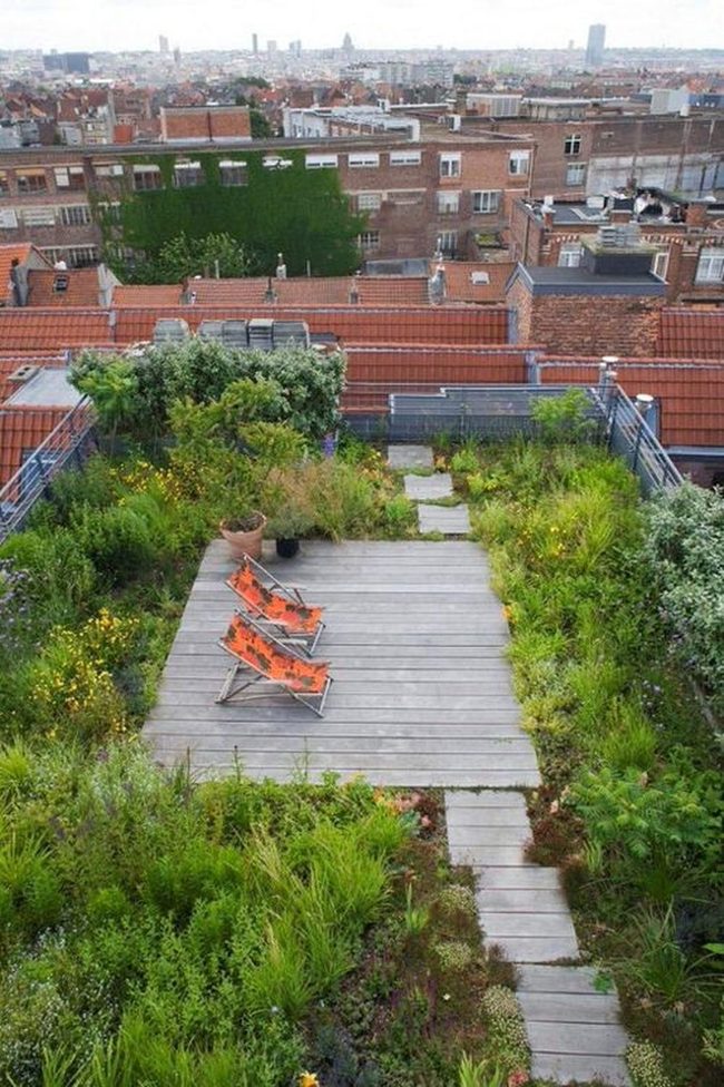 Elevated Green Retreat Above City