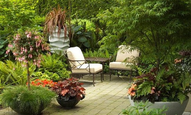 Sculptural White Planters With Fuchsia Bursts
