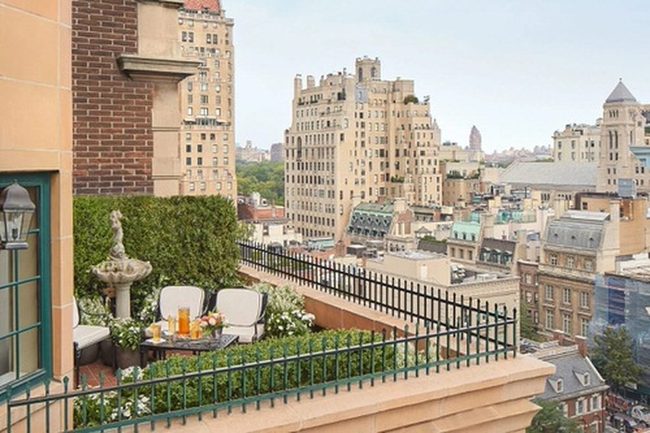 Potted Plants Transform Urban Porches Green