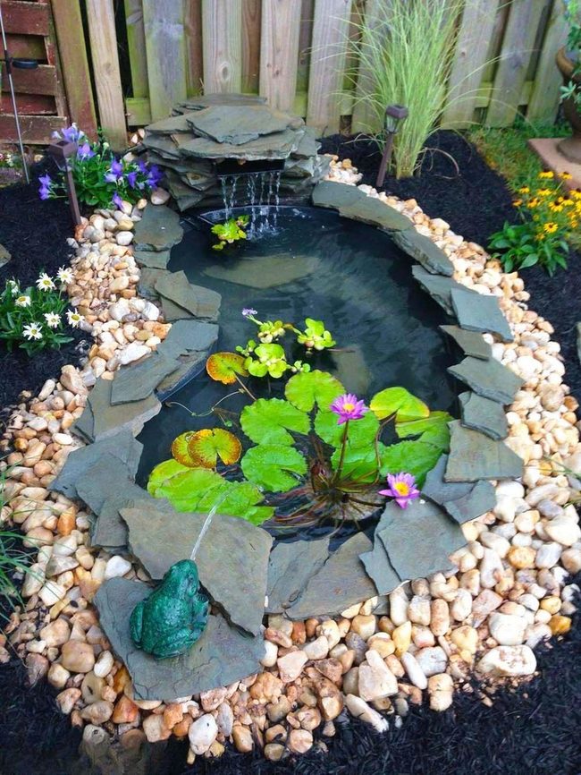 Water Lilies And Flowing Tranquility