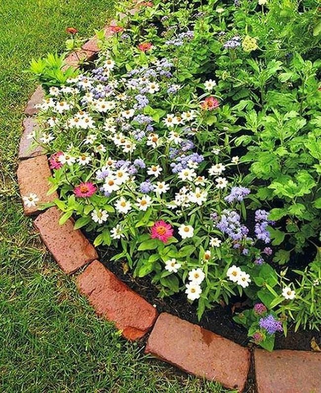 Purple And White Flower Garden Borders