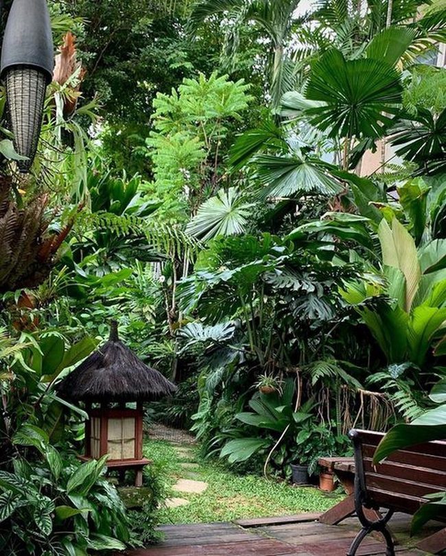 Towering Palms And Exotic Blooms