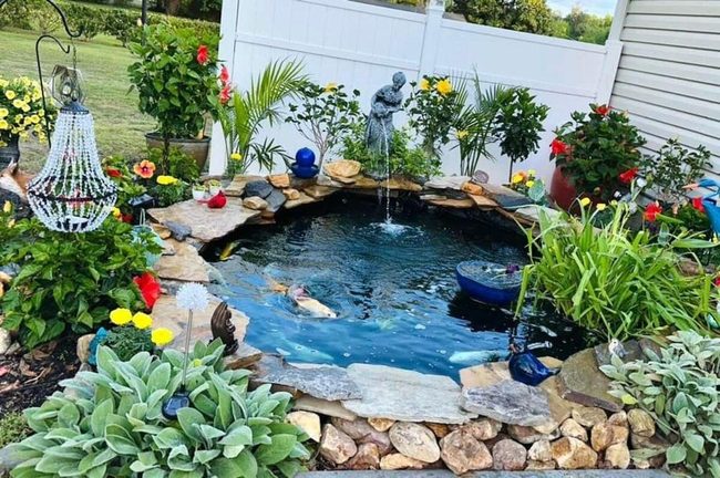 Backyard Koi Pond Paradise