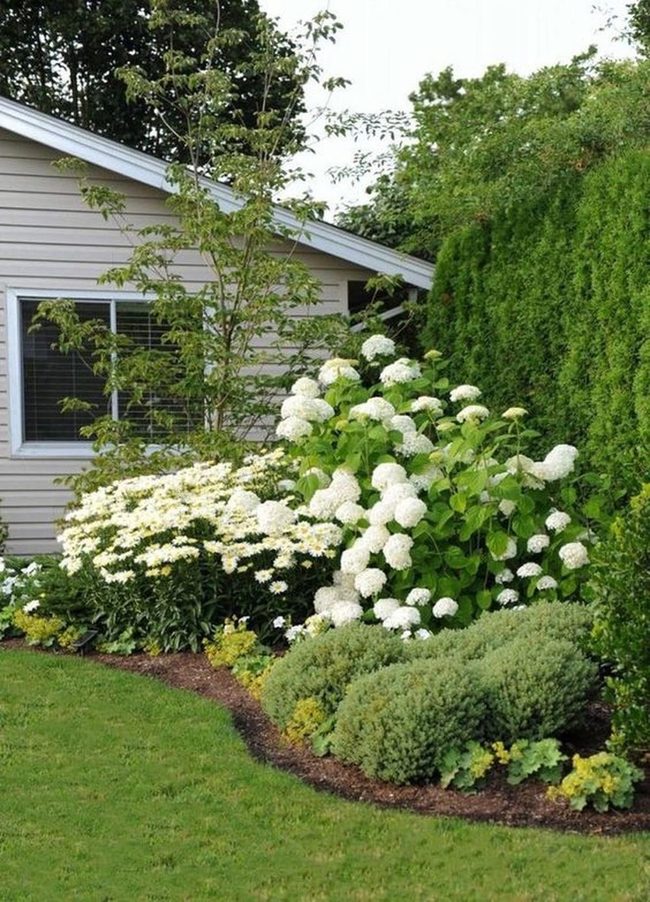 White Blooms Against Dense Green
