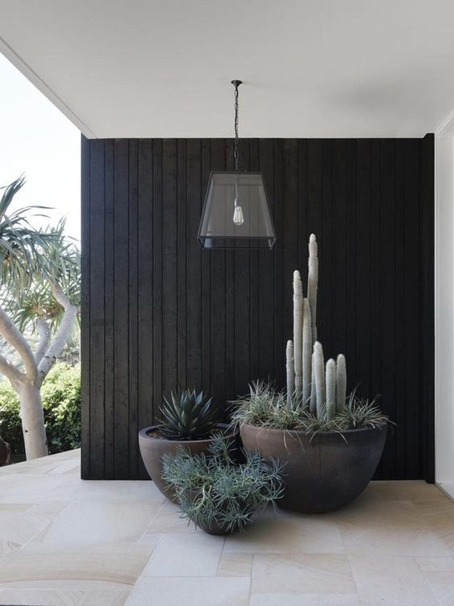 Light Stone And Dark Wood Desert Garden