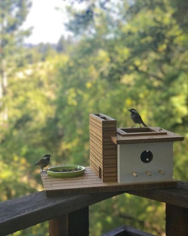White Wooden Birdhouses In Dappled Light