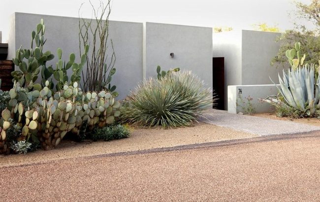 Gray Walls Green Cacti Layers