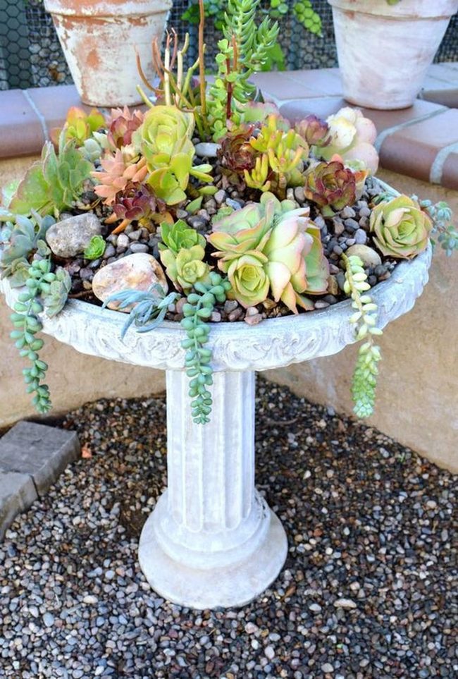 Tall Concrete Planter With Layered Succulents