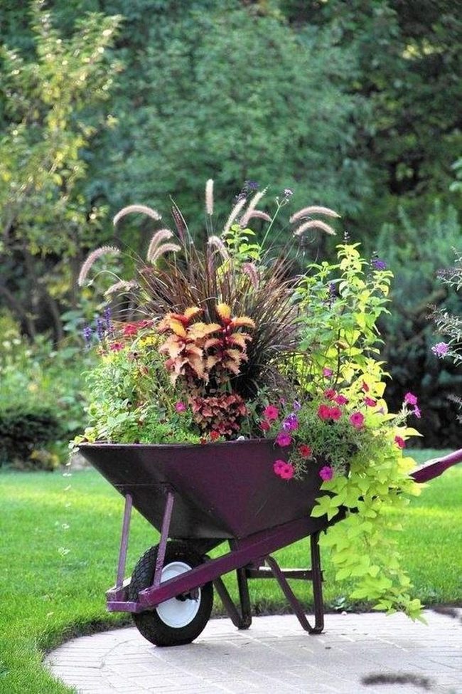 Purple Wheelbarrow Garden Statement