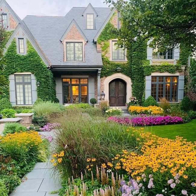 Vertical Vines And Cascading Blooms