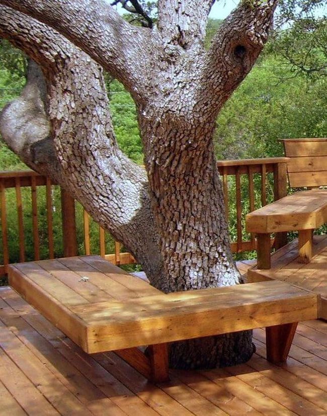 Circular Wood Bench Around Tree