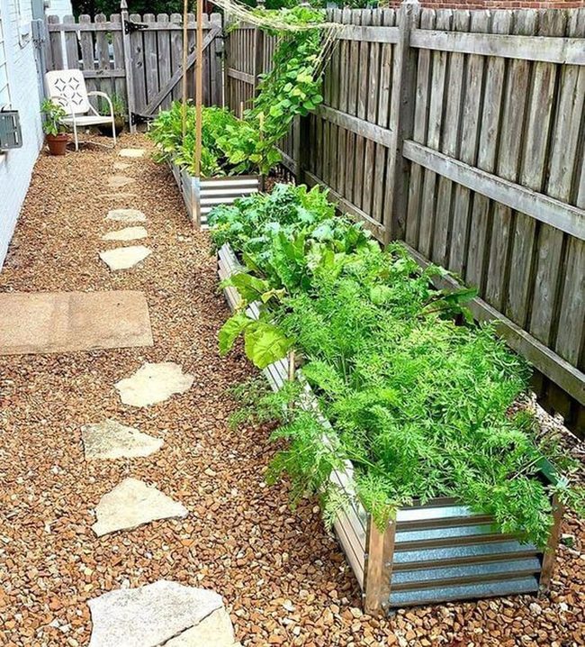 Fresh Herbs And Vegetables Everywhere
