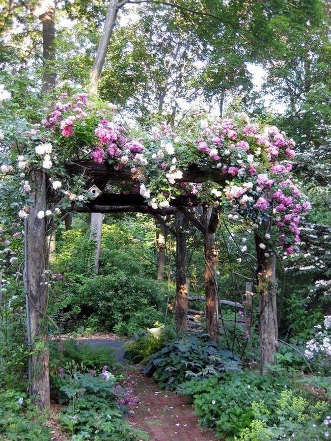 Pink Blooms On Weathered Wood