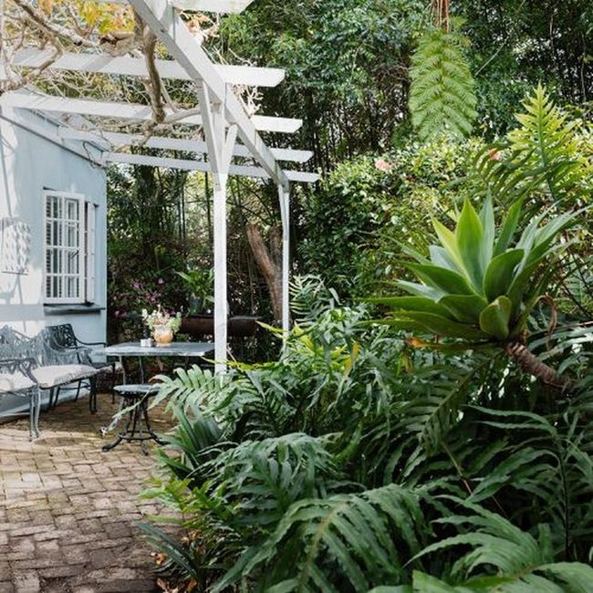 Green Leafy Coffee Hideaway
