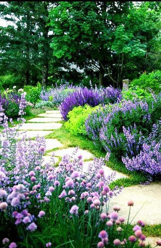 Stone Pathways Through Lavender Pink Blooms
