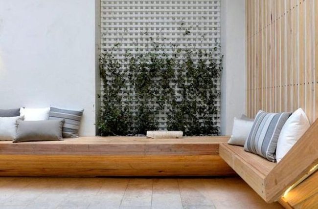 Green Walls Meet Curved Wood Serenity