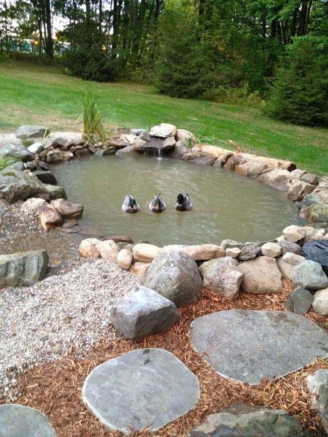 Waterside Seating With Peaceful Pond Views