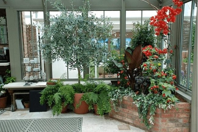 Sunlit Room With Red Flowers