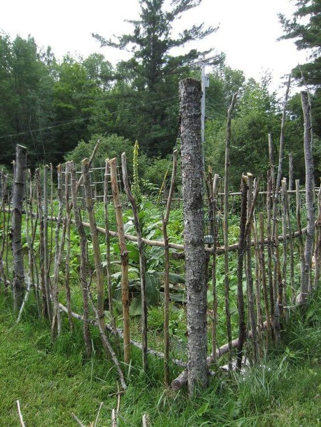 Natural Twigs Define Garden Edges