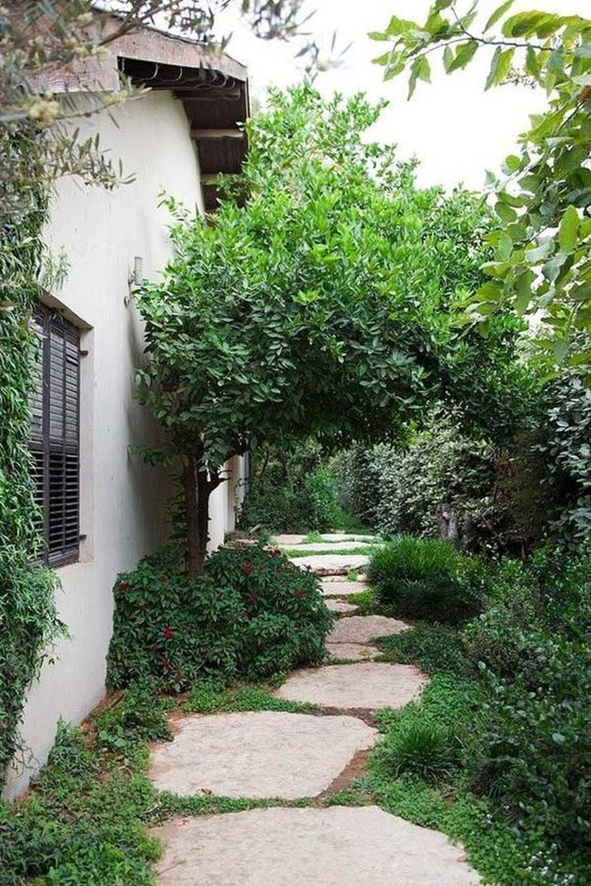 Stone Path Through Emerald Garden