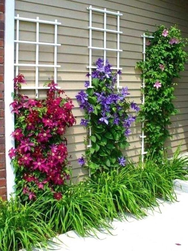 Vertical Garden Living Walls