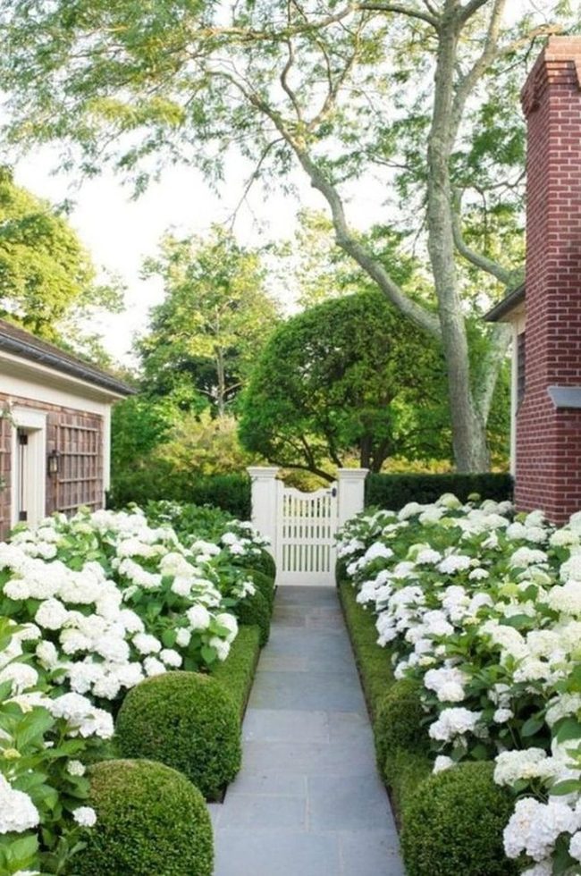 White Hydrangea Garden Gate Path