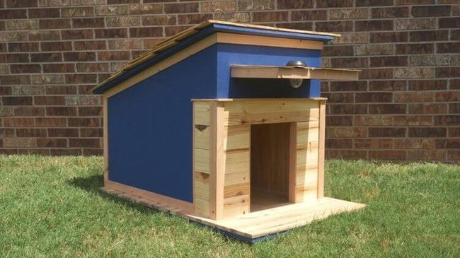 Bright Blue Dog House With Solar Light