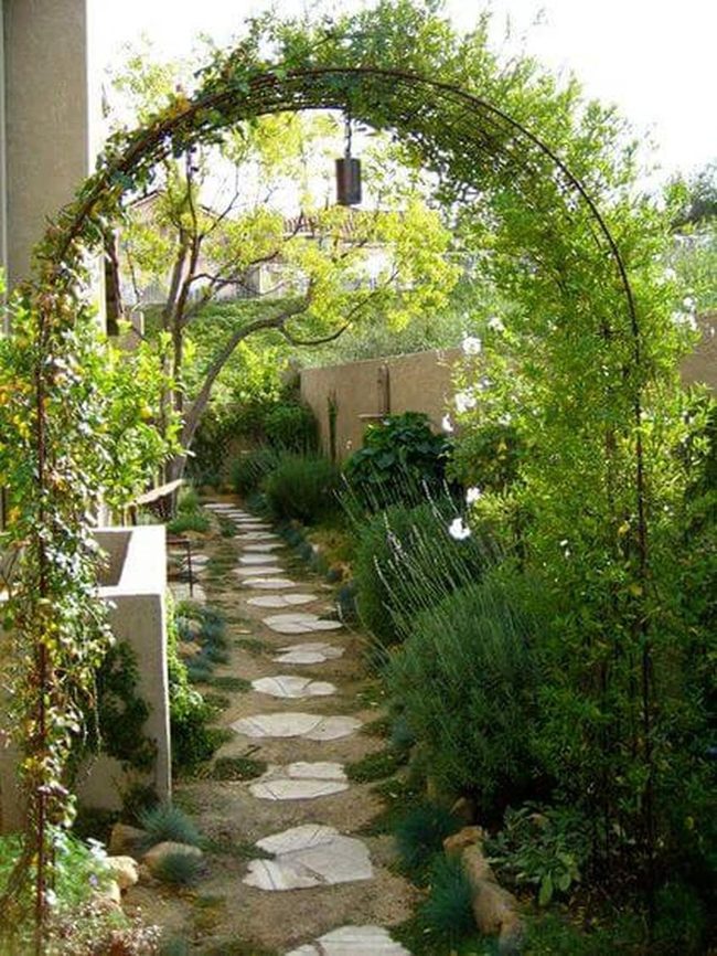Sunlit Stone Path Through Blooming Vines