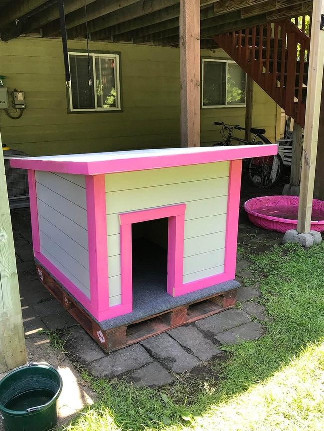 Insulated Dog House For Year-Round Protection