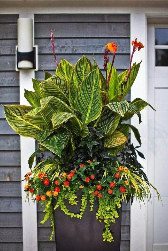 Dark Container Overflowing With Green