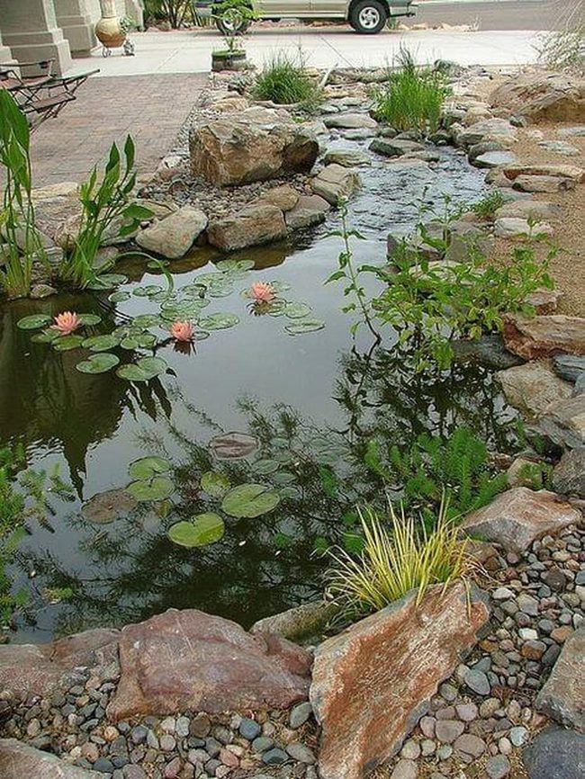 Illuminated Pond With Floating Plants