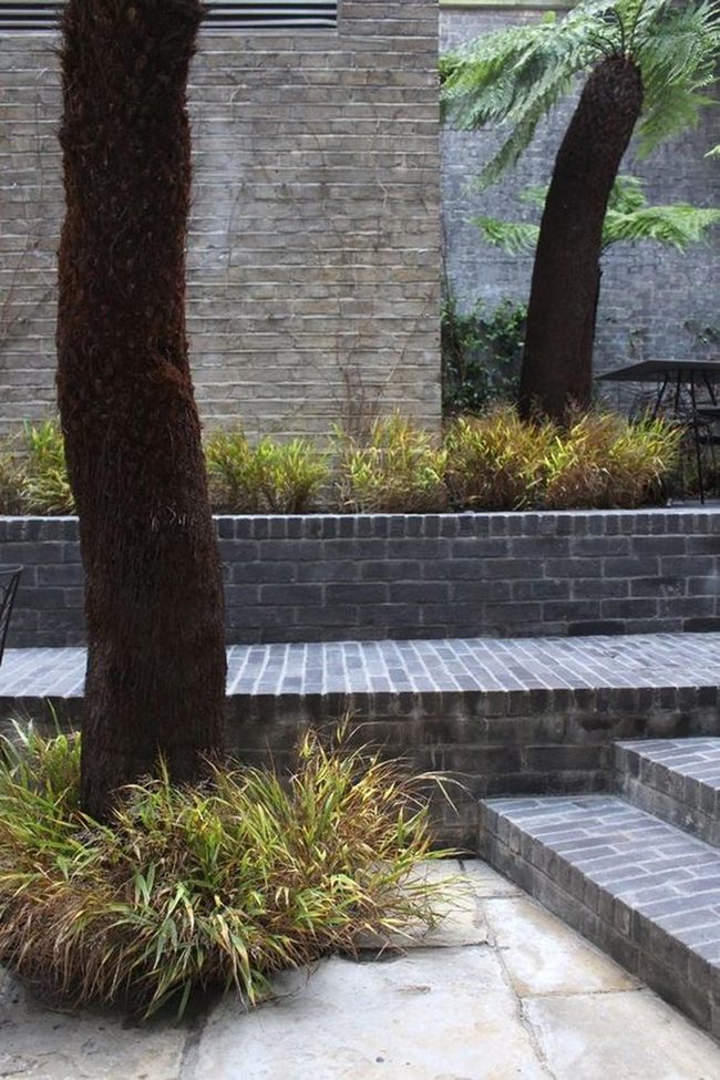 Dark Trees, Stone Paths, Green Sanctuary