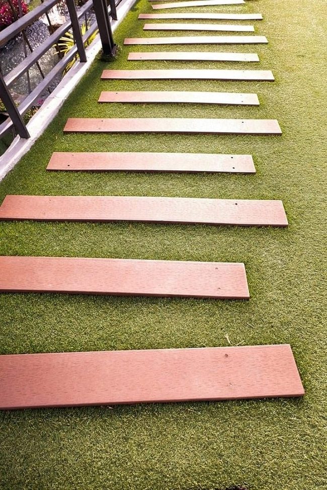 Golden Wood Path Through Green