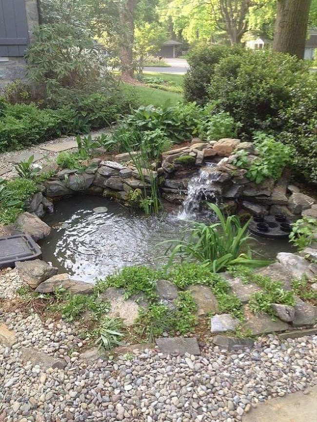 Stone-Edged Pond With Glowing Lights