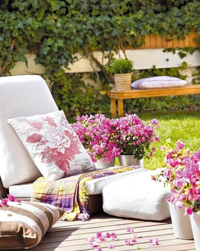 Pink Blooms And Wooden Deck