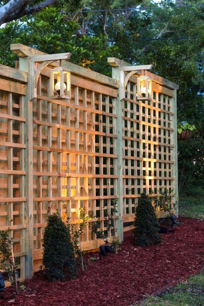 Green Vines Meet Solar Light