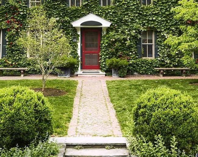 Symmetrical Evergreen Entry Guardians