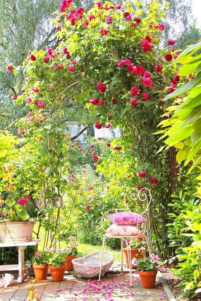 Rose Arch Garden Retreat