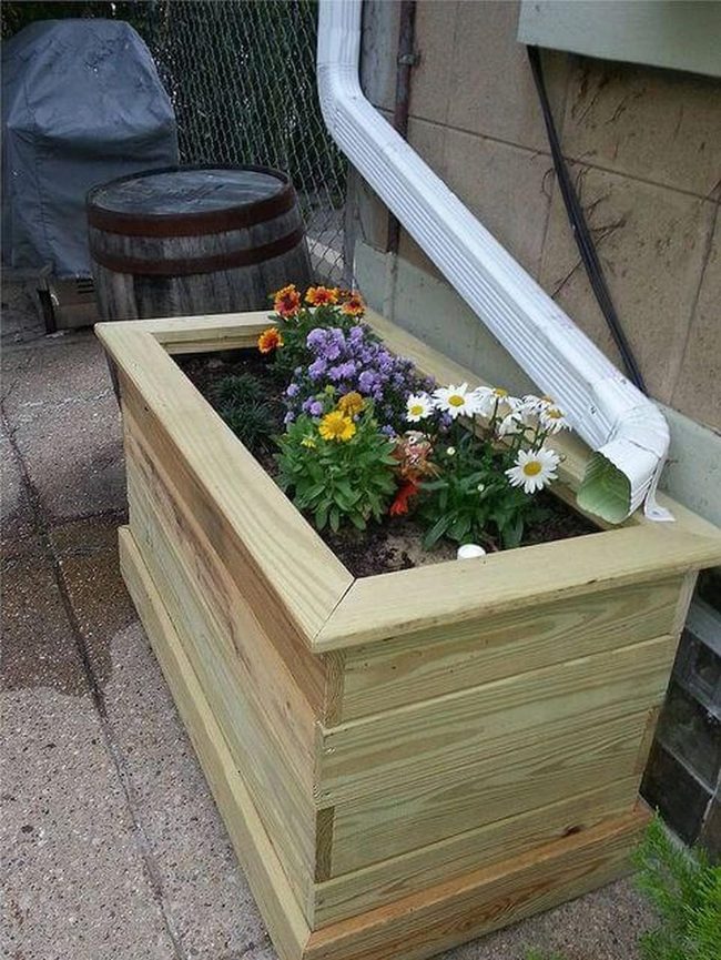 Wooden Beds Burst With Blooms