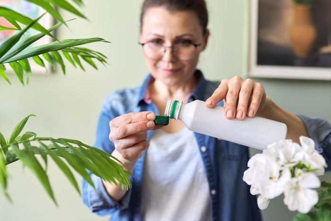 Less Fertilizer, Healthier Plants