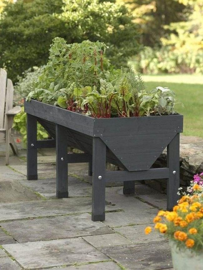 Dark Wood Raised Garden Beds