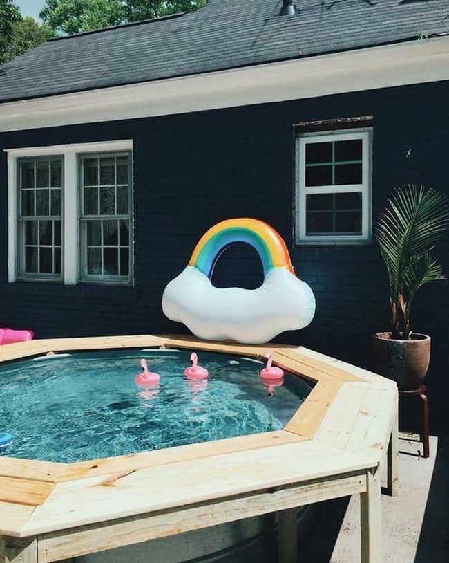 Pink Flamingos Float Clear Summer Waters