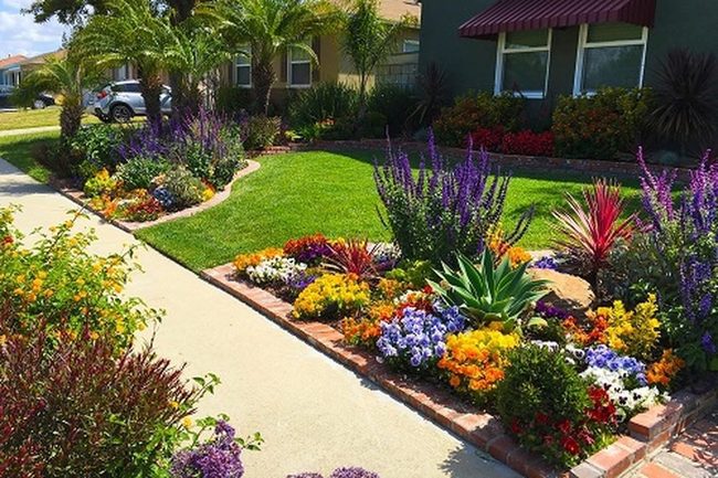 Rainbow Blooms Front Yard Statement