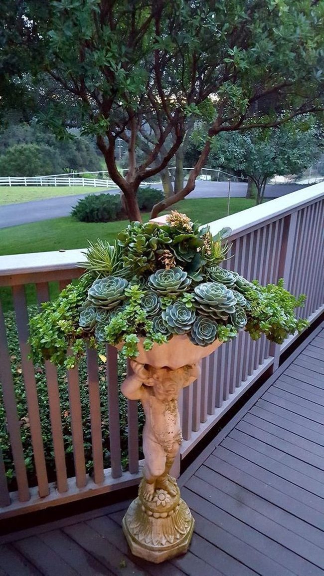 Sculptural Stone Pedestal With Lush Succulents