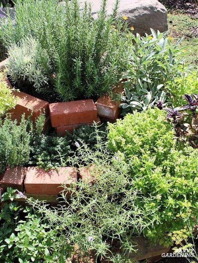 Layered Brick Herb Beds