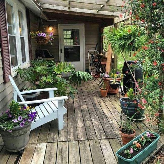 Green Plants On Wooden Porch