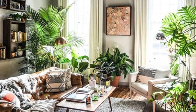 Green Walls Of Living Plants